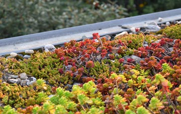 the cost of Hundred End green roof installation