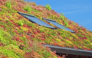 Hundred End living roof systems