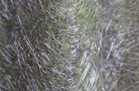 Hundred End fibreglass roof work